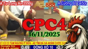 Tổng hợp phát lại đá gà CPC4 16112025