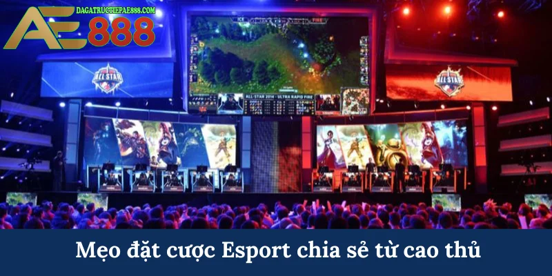 Esport AE888 - Sân chơi cá cược thể thao điện tử đẳng cấp 8 Mẹo đặt cược Esport chia sẻ từ cao thủ