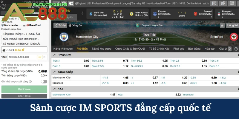 IM SPORTS - Sảnh cược thể thao trả thưởng lớn tại AE888 5 Sảnh cược IM SPORTS đẳng cấp quốc tế