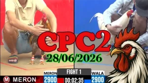 Clip đá gà Thomo CPC2 ngày 28062026 hôm nay