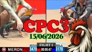 Video Đá Gà Thomo CPC3 Ngày 15062026