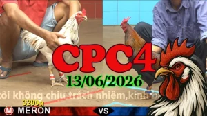 Xem Lại Video Đá Gà Thomo CPC4 Ngày 13062026