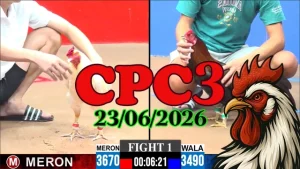 Xem lại video đá gà trực tiếp CPC3 ngày 23062026