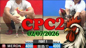 Xem Video đá gà thomo CPC2 ngày 02072026